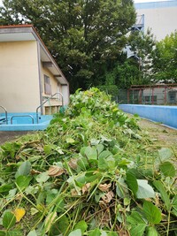 本日の成果!